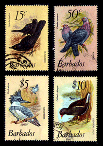 postage stamps with birds