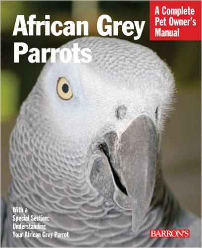 africangrey