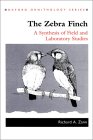 zebrafinch