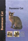 burmese