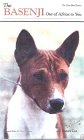 basenji