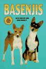 basenji1