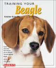 beagle1