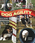 beginagility copy copy