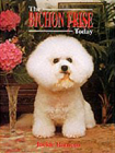 bichon copy