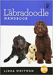 labradoodlehandbook