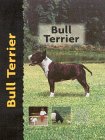 bullterr