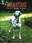 dalmation