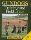 gundog training copy