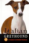 itgreyhound copy