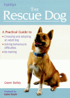 rescuedog