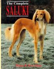 saluki