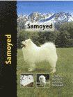 samoyed