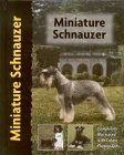 schnauzer