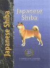 shiba