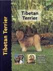 tibetan terrier