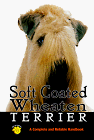 wheaten