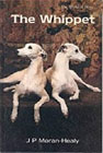 whippet