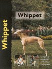 whippet copy
