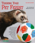 trainpetferret