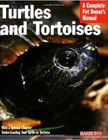 turts tortpetown