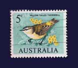 5c Yellow Tailed Thornbill £0.05 