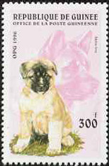 Akita stamp